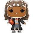 Harry Potter Gingerbread Hermione Granger Funko Pop! Vinyl Figure #176 Movies