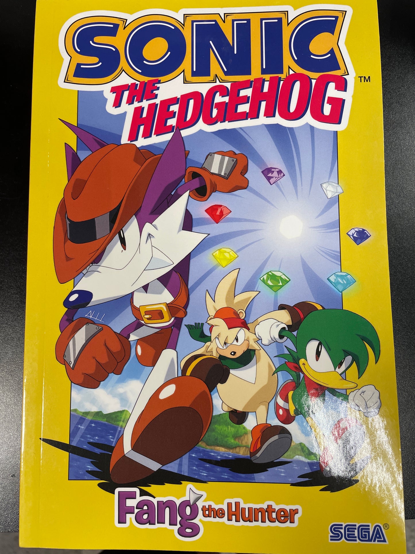 Sonic the Hedgehog: Fang the Hunter
