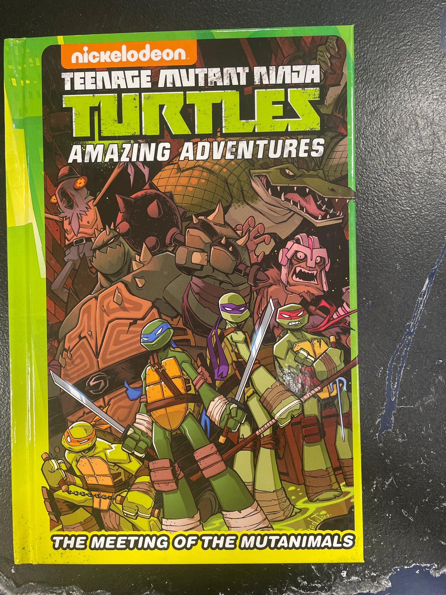 TMNT Amazing Adventures teenage mutant ninja turtles Graphic Novel