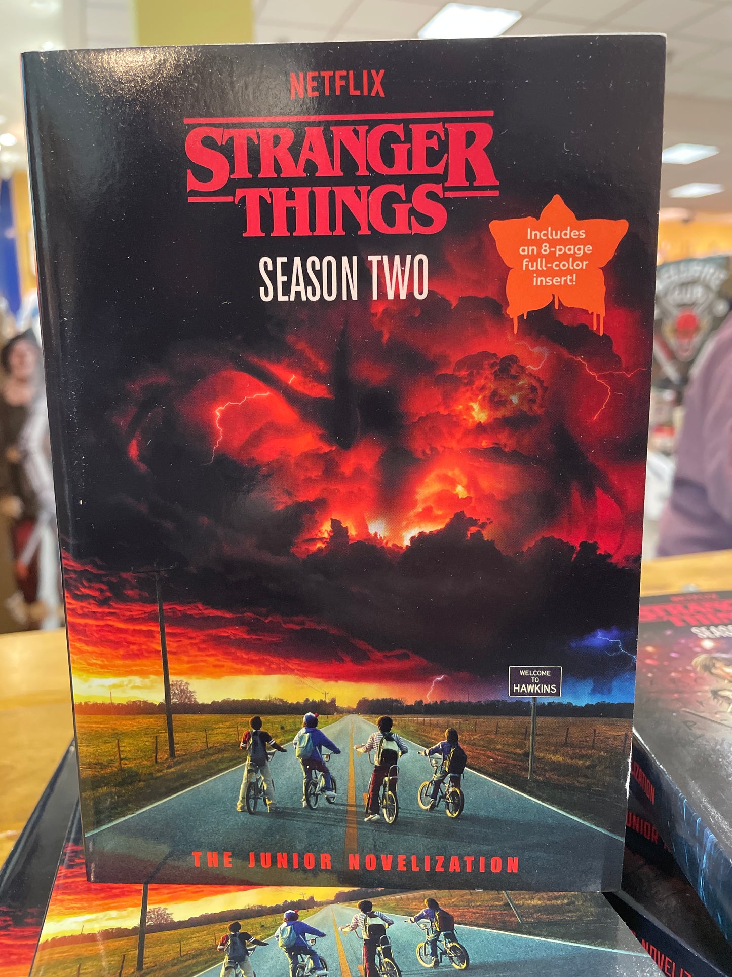 Stranger Things: Season 2 Book