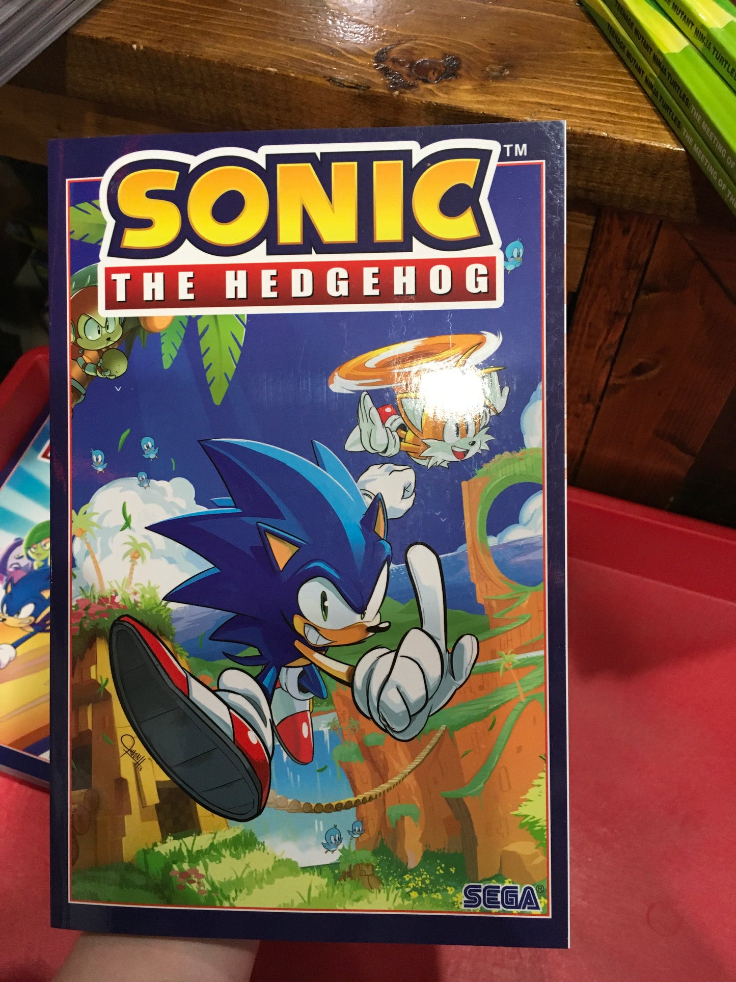Sonic the Hedgehog: Vol 1 Fall Out!