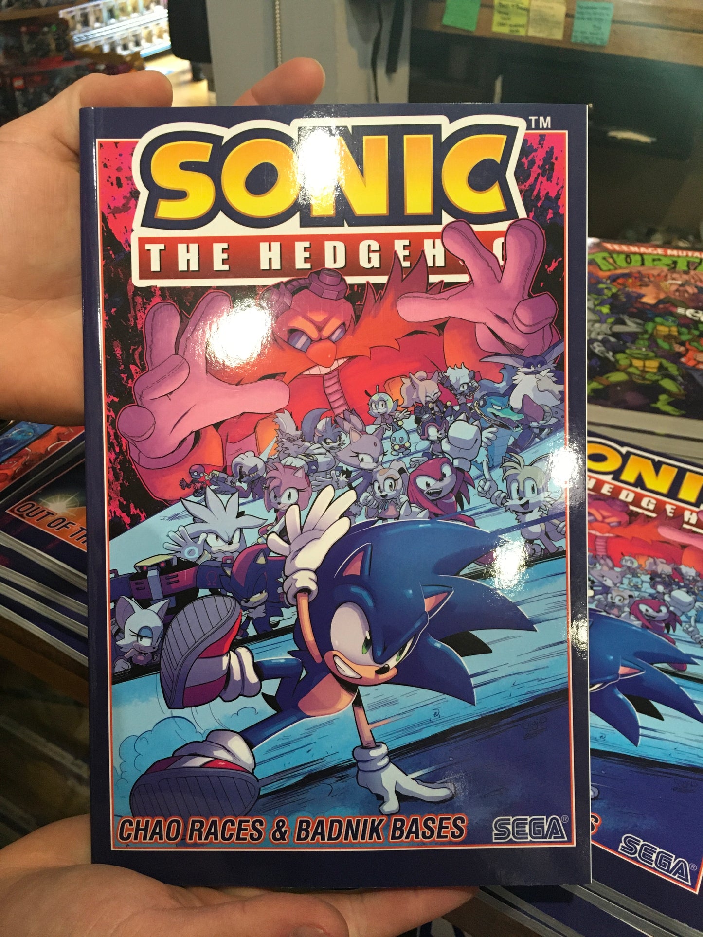 Sonic the Hedgehog vol. 9 Chaos Races and Badnik Bases
