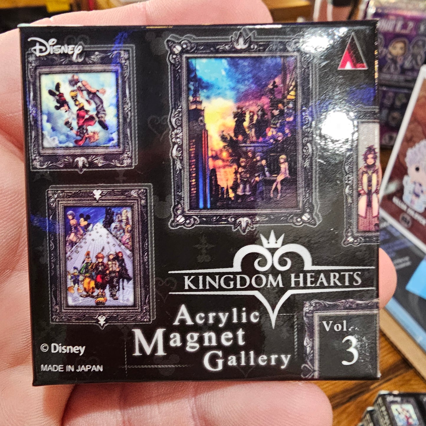 Kingdom Hearts Acrylic Magnet Gallery Volume 3 Mystery Box