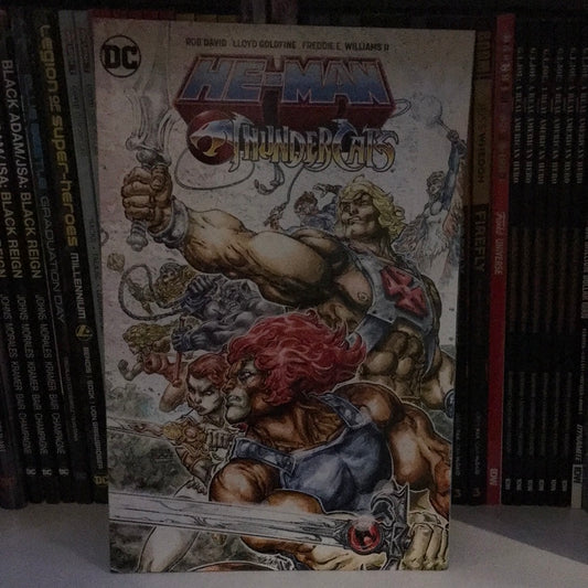 DC - He-Man/Thundercats - Graphic Novel