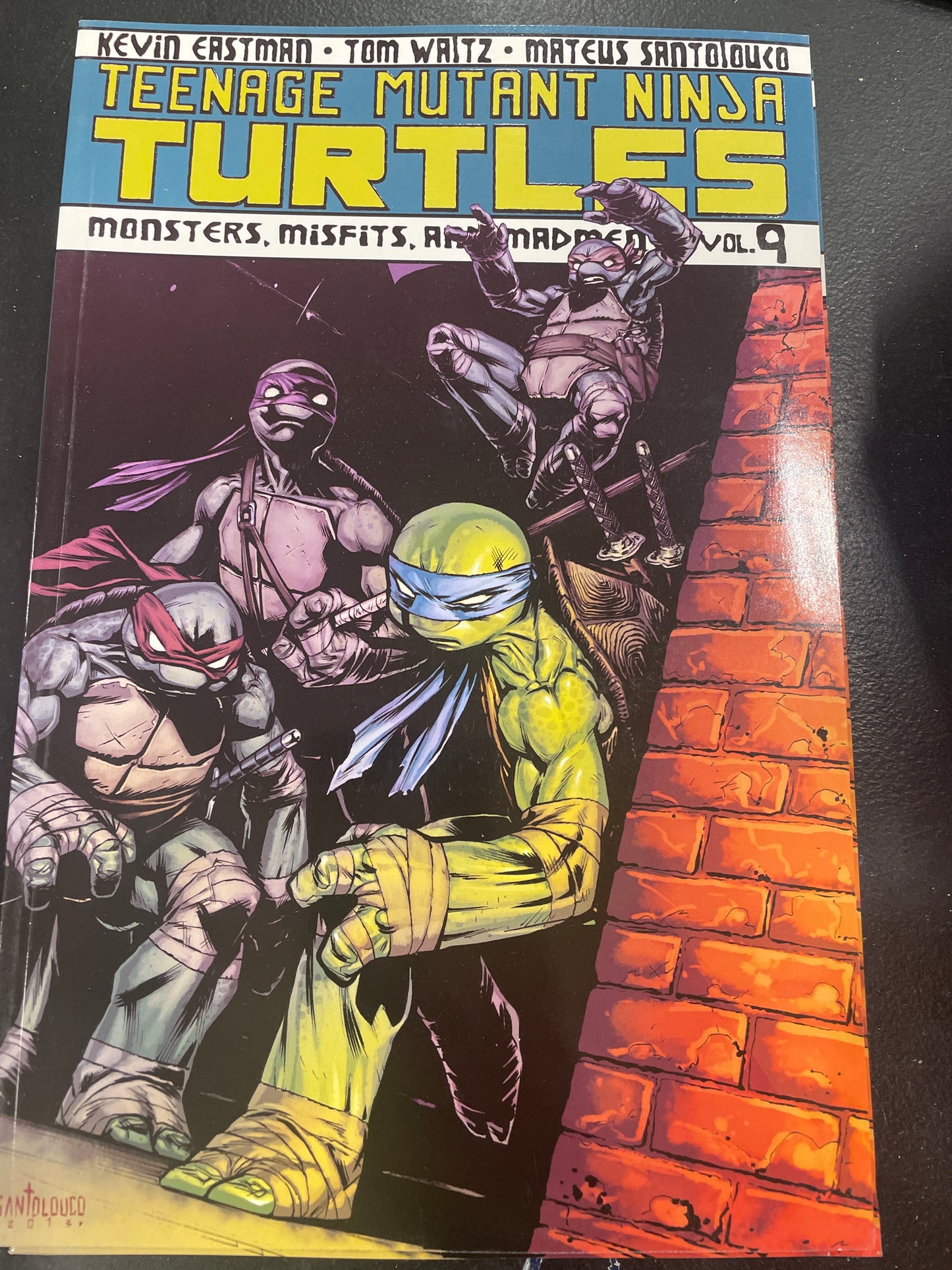 TMNT Monsters, Misfits, and Madmen  teenage mutant ninja turtles Graphic Novel