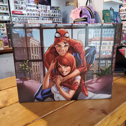 Comic Storage Box - POS only