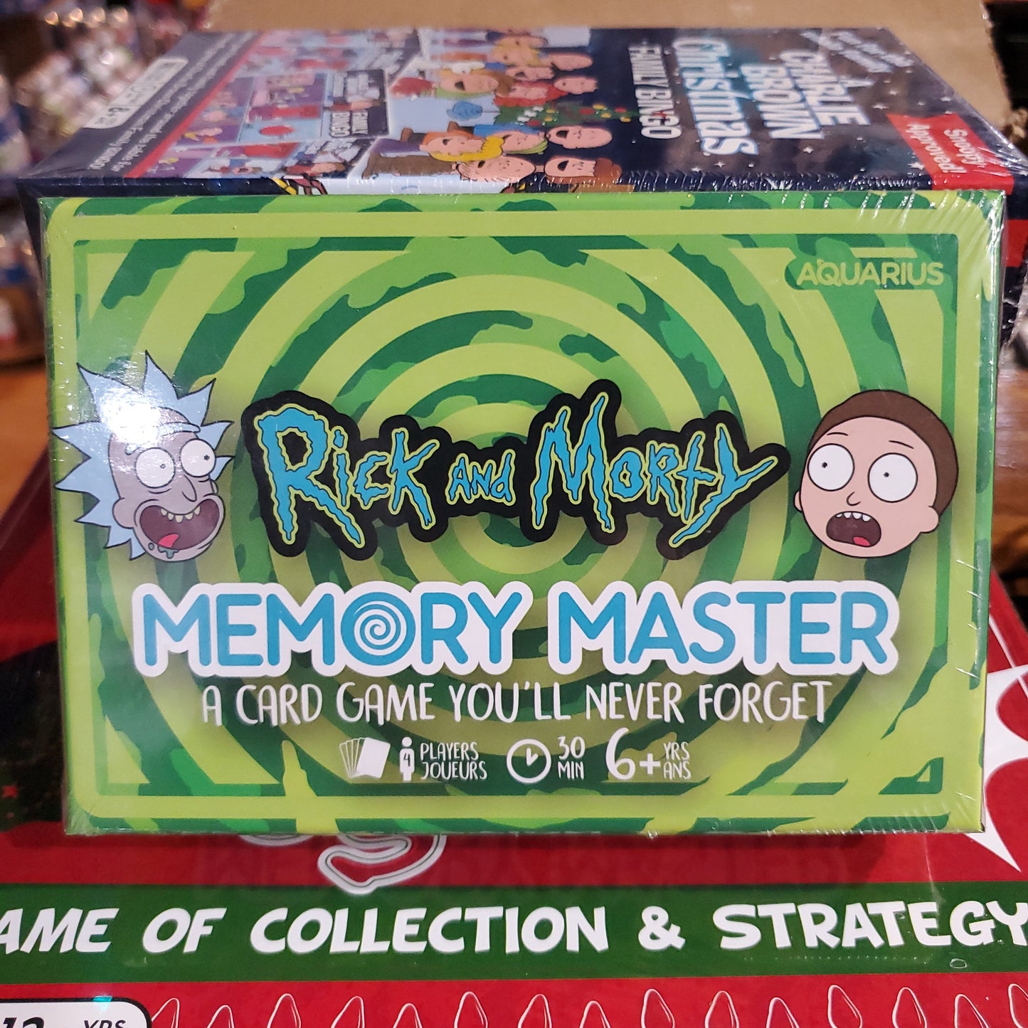 Rick and Morty Memory Master Game