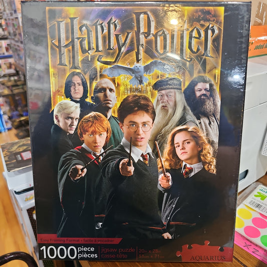 Harry Potter and Friends 1000 Piece Puzzle