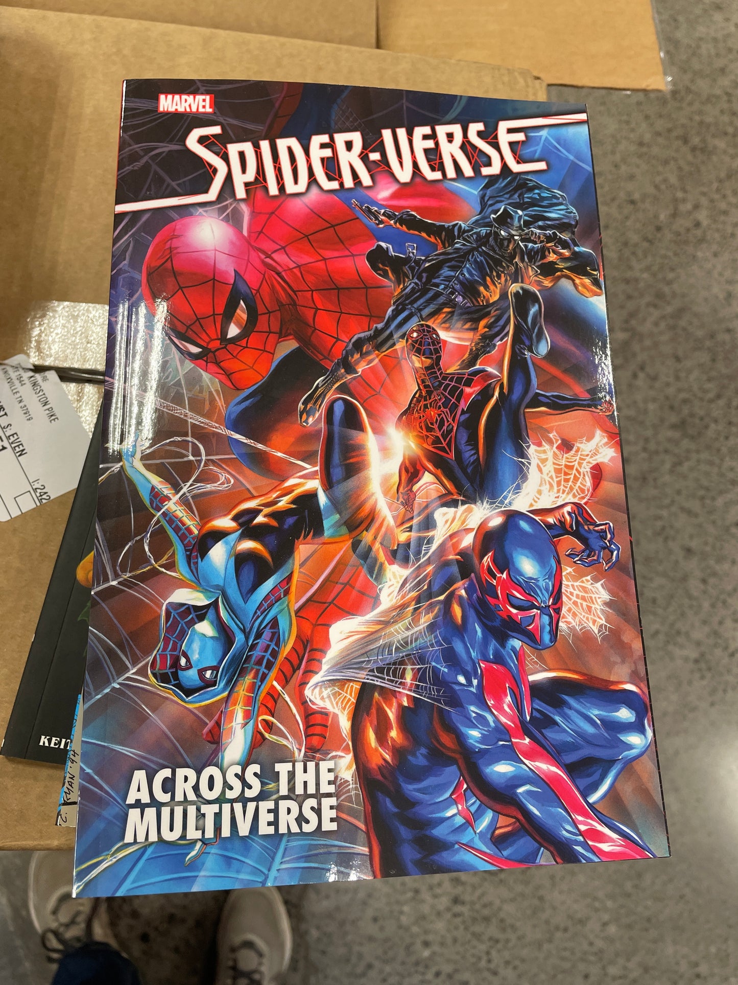 Spiderverse across the universe graphic novel