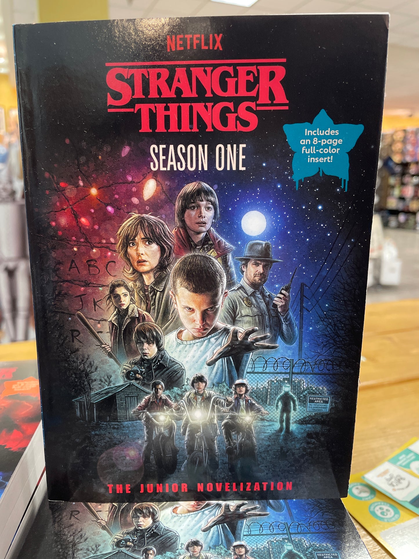 Stranger Things: Season 1 Book