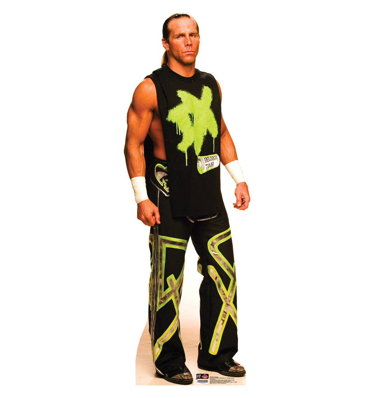 WWE Shawn Michaels DX LIFE SIZE STANDEE cardboard stand up NEW