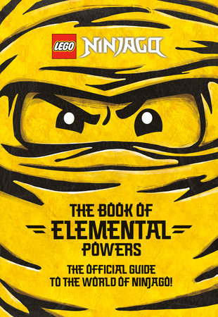 LEGO books in store