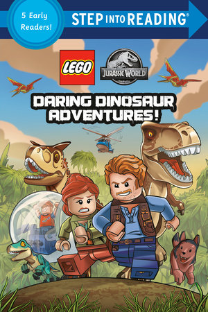 LEGO books in store