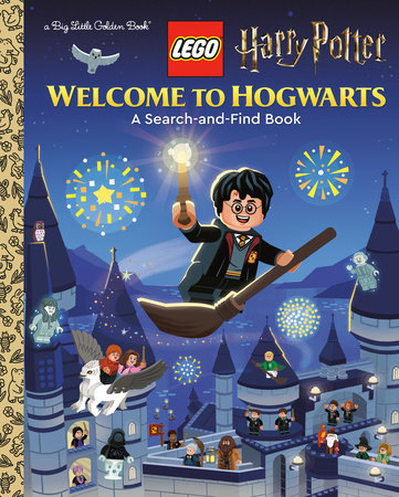 LEGO books in store