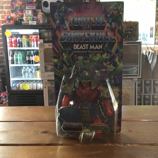 Turtles of Grayskull - MOTU X TMNT Beast Man - Mattel retro Action Figure