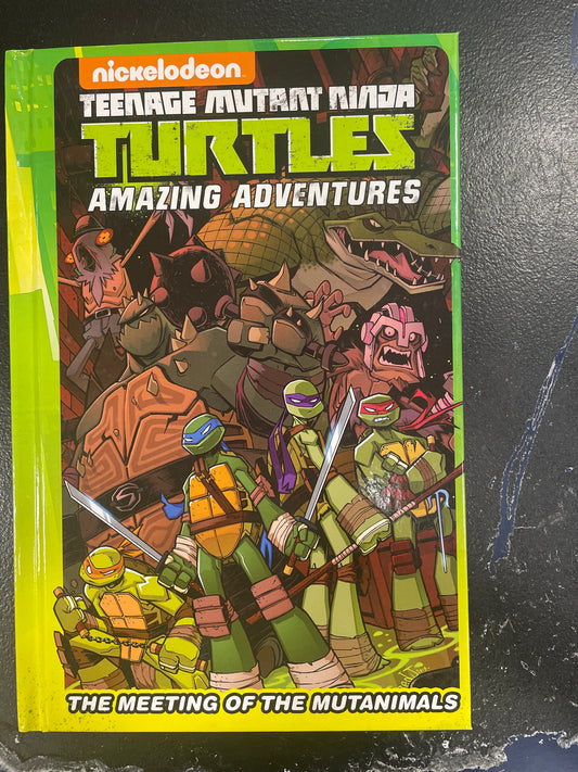 TMNT Amazing Adventures  teenage mutant ninja turtles Graphic Novel