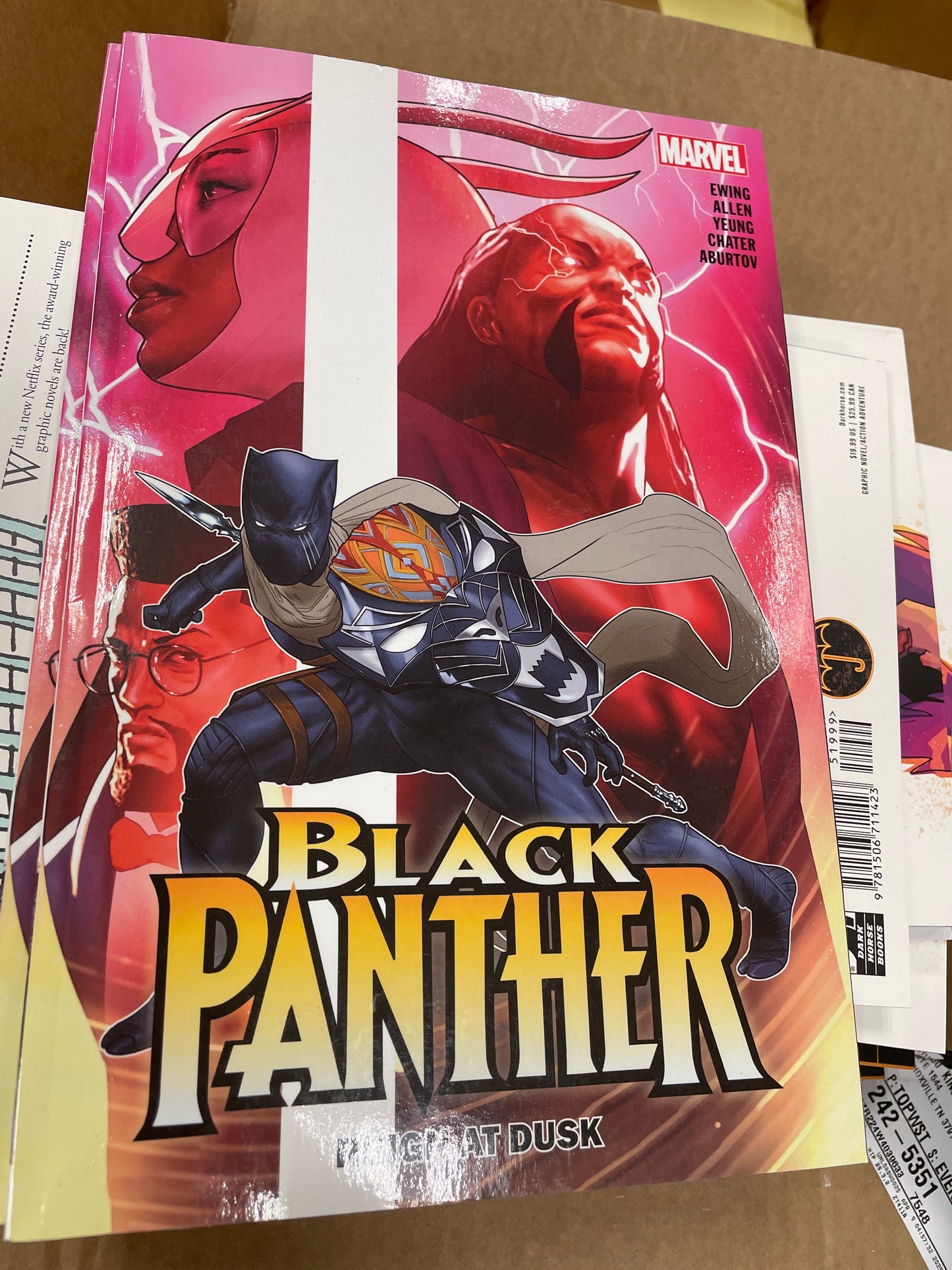 Black Panther reign at dusk Marvel graphic novel