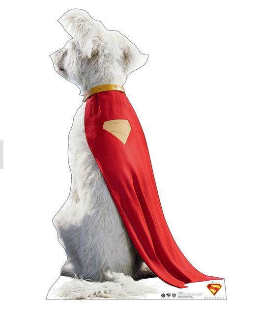 PREORDER LIFE SIZE Krypto do Superman 2025 STANDEE cardboard stand up
