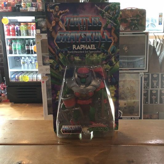 Turtles of Grayskull - MOTU X TMNT -Raphael- Mattel retro Action Figure