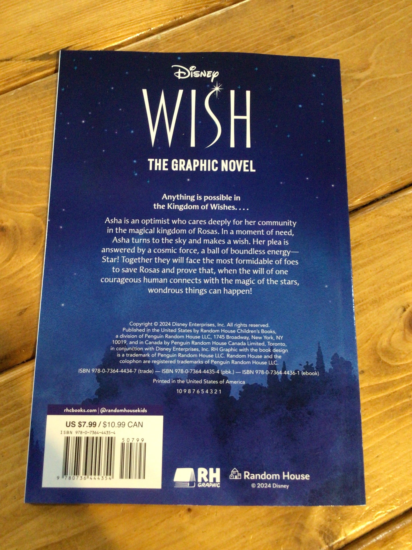 Disney’s Wish Graphic Novel