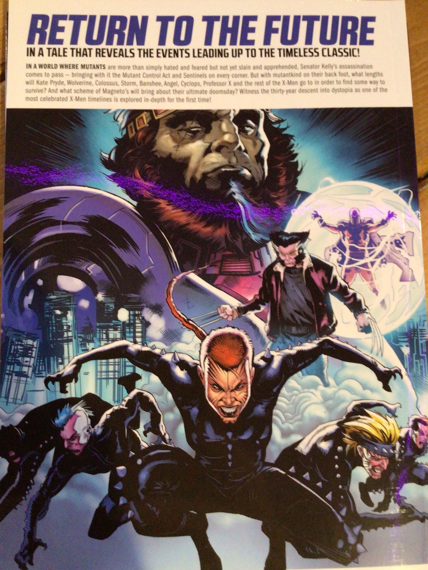 Marvel - X-Men Days of Future Past Doomsday - Graphic Novel