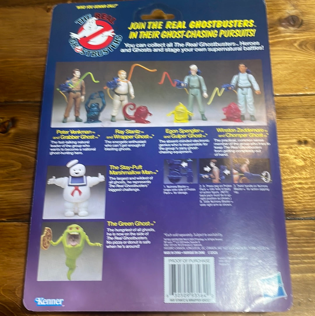 Hasbro real ghostbusters ray Stantz anniversary retro figure