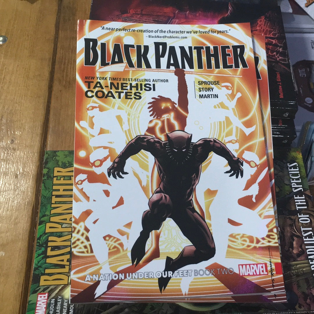 Marvel Black Panther: A Nation Under Our Feet Graphic Novel