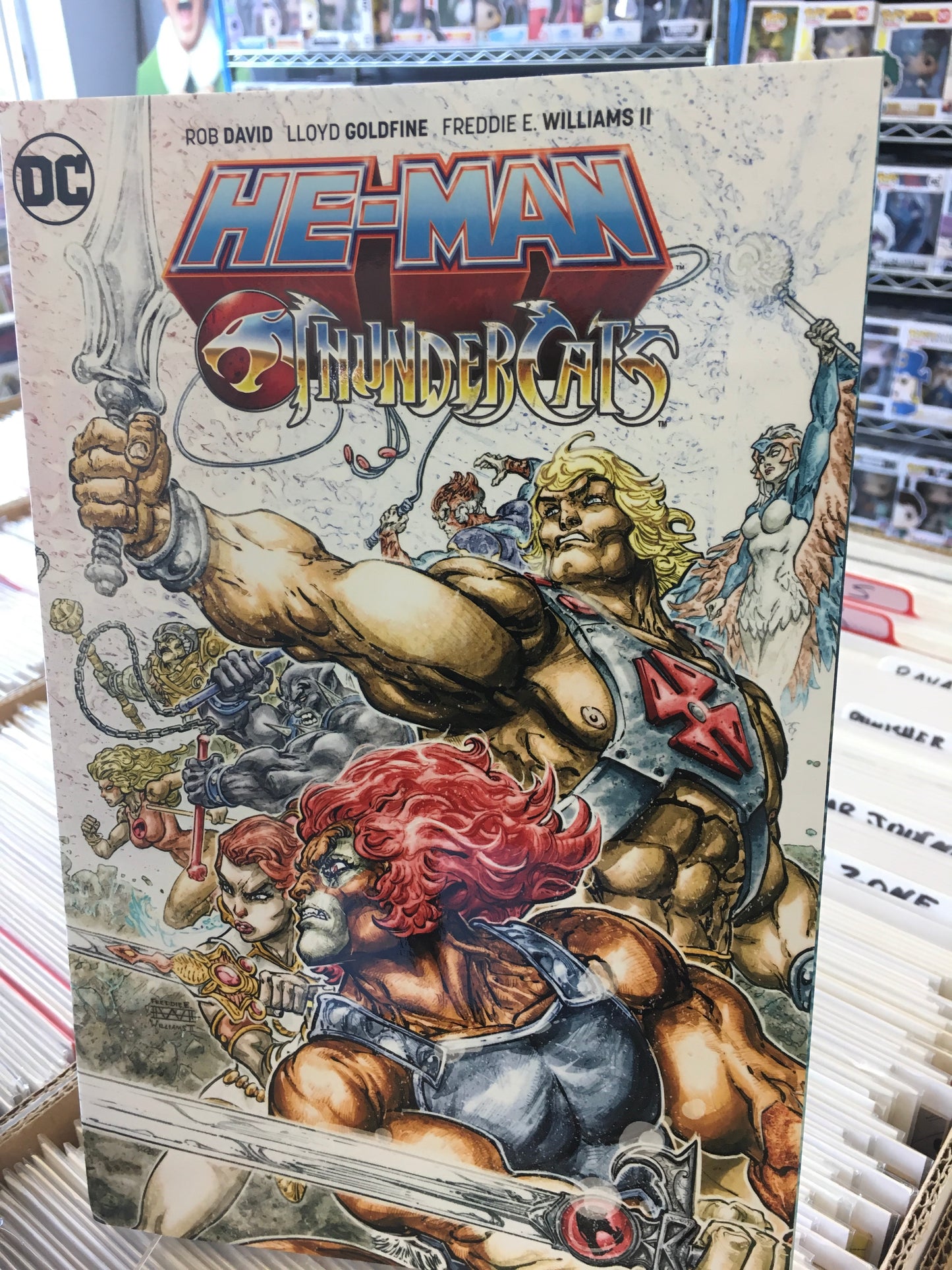 GRAPHIC NOVEL He-Man Thundercats DC comics
